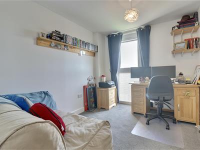 Picture 7